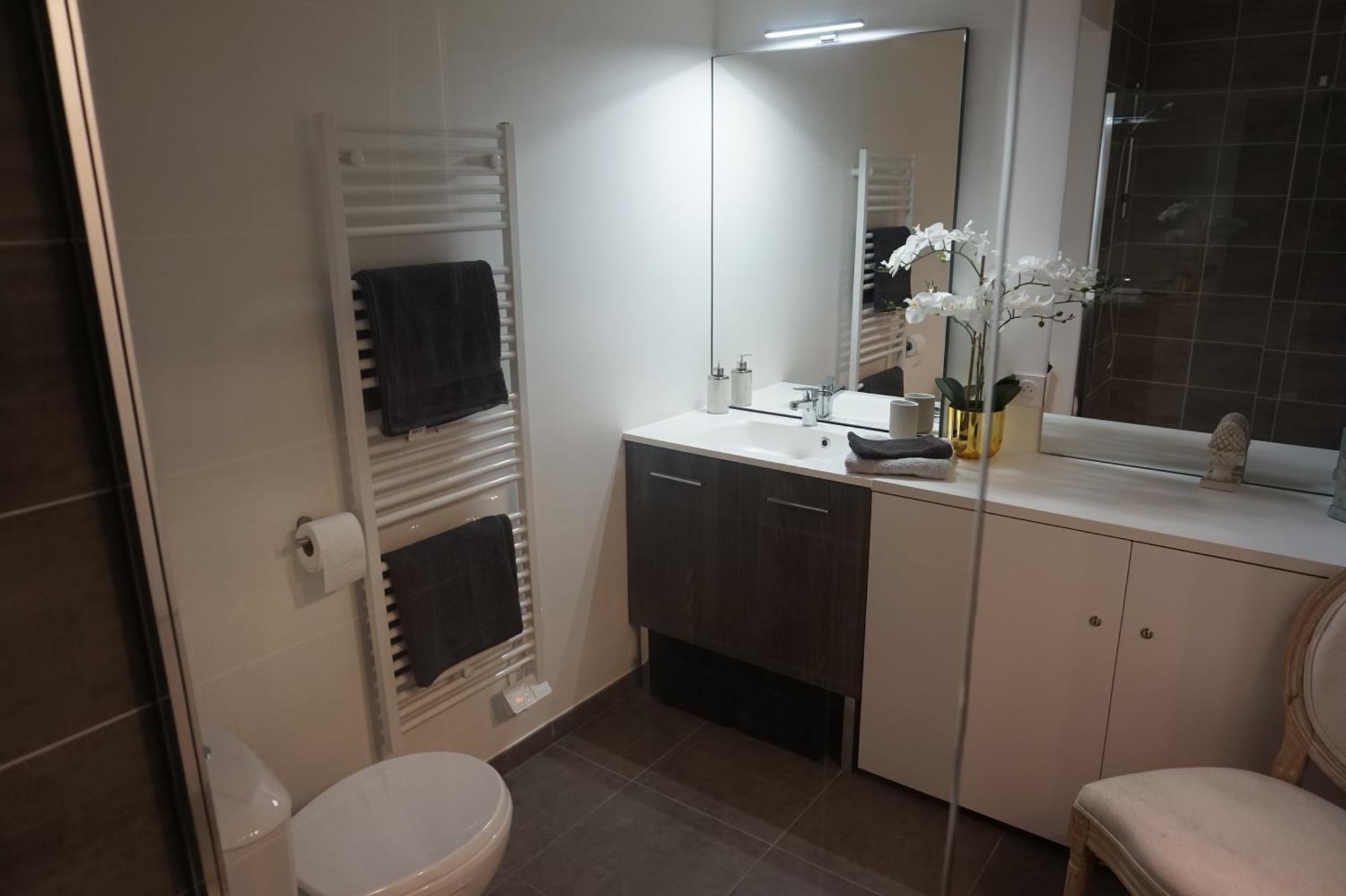 L'Ecrin Vert Chambery Coeur De Ville Экстерьер фото